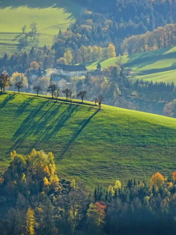 landscape-4612528-scaled